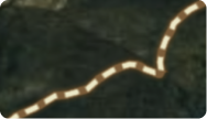 50 Inch Trail Offroad.png